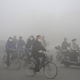 People ride along a street on a smoggy day in Daqing, Heilongjiang province, October 21, 2013. The highest red alert was issued for heavy smog in several cities in Heilongjiang province on Monday, according to Xinhua News Agency. The second day of heavy smog with a PM 2.5 index has forced the closure of schools and highways, exceeding 500 micrograms per cubic meter on Monday morning in downtown Harbin, the provincial capital. REUTERS/Stringer